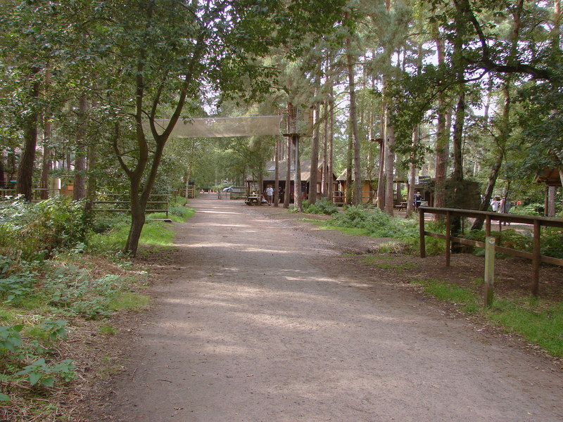Roofing in Bracknell (RG12) – The Look Out, Swinley Forest